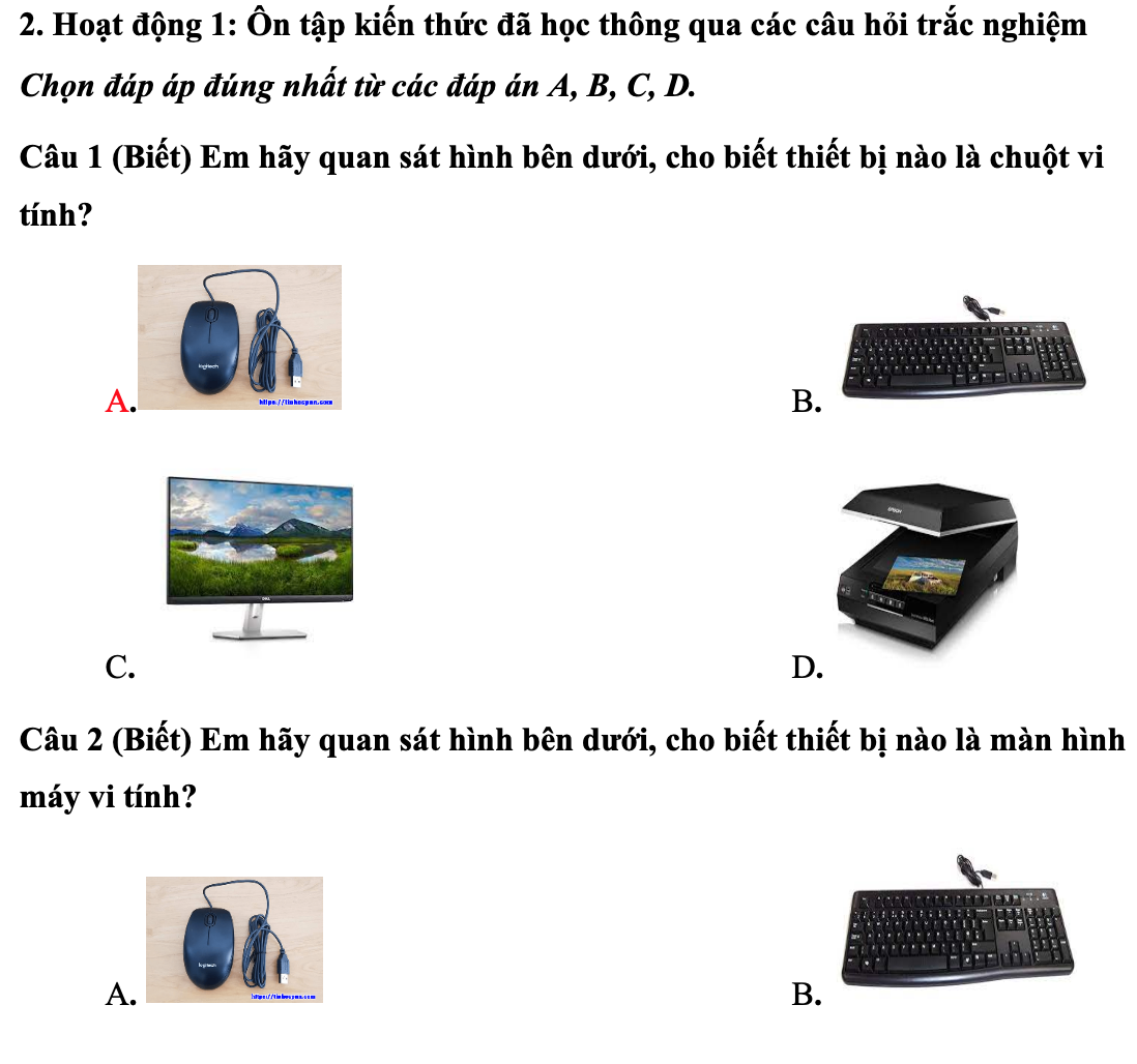 Giáo án Tin học Lớp 7 - Ôn tập giữa kì I - Tiết 8 | Kết nối tri thức